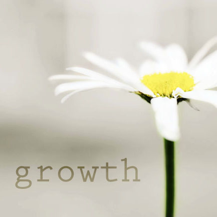Growth, Lean Six Sigma