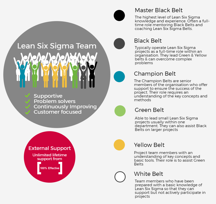 Lean Six Sigma team.