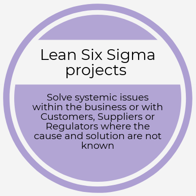 Lean Six Sigma projects. 