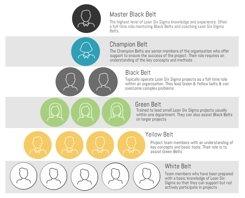 Lean Six Sigma structure.