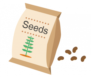 Blog-seeds-for-future