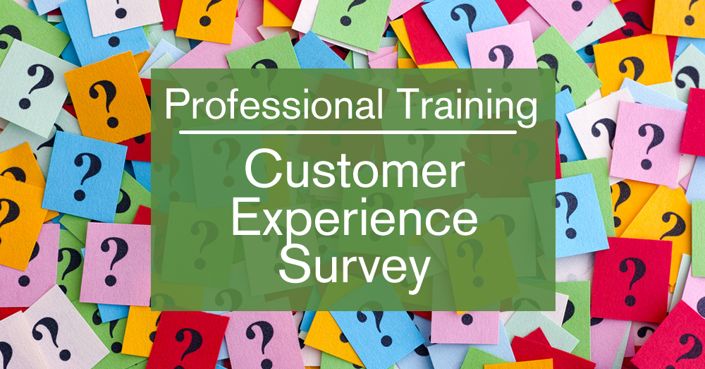 Customer experience survey