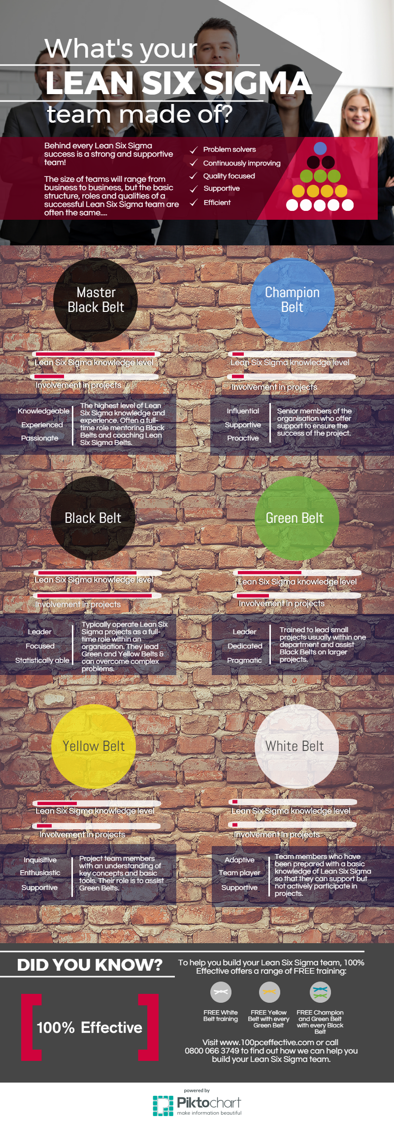 Lean Six Sigma team infographic. 