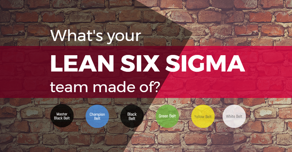 What;s your Lean Six Sigma team made of?