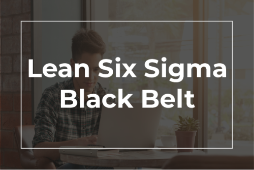 Lean Six Sigma Black Belt Training course, Six Sigma Black Belt Training, Black Belt Certification, LSS Black Belt virtual Online or Classroom