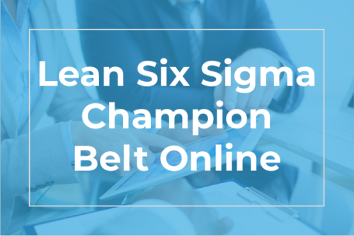 Lean Six Sigma Champion Belt Online