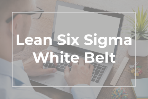 Lean Six Sigma White Belt