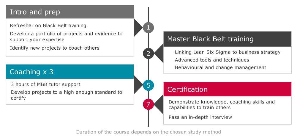 Master Black Belt course structure