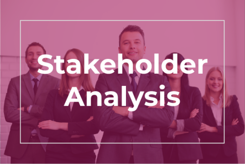 Stakeholder Analysis