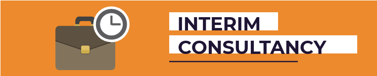 interim consultancy