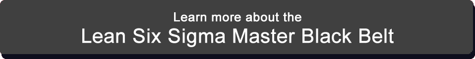 Master Black Belt Training