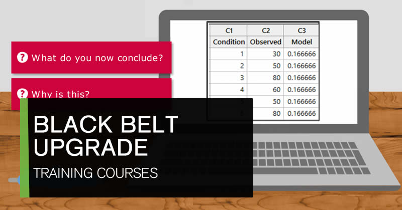 Online Black Belt upgrade training