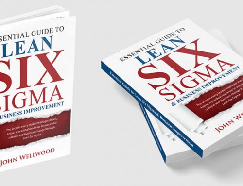 The Essential Guide to Lean Six Sigma & Business Improvement; the journey