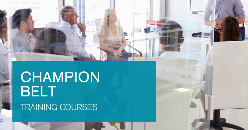 Classroom Champion Belt training courses