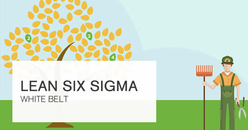 FREE Lean Six Sigma Training