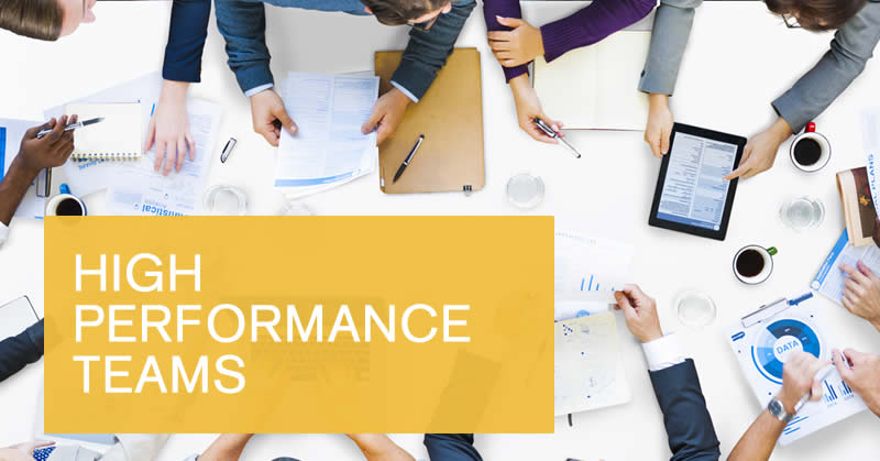 Online building high performance teams course