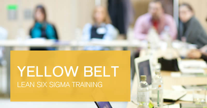 Online Lean Six Sigma Yellow Belt training course